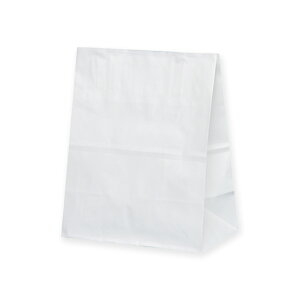 pbN^P}  p XZT50004 nCobO H300Nn 180×105×225mm 100 zCg Ɩp bsO VW}R[h004071121