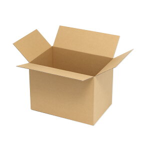 HEIKO 箱 ダンボール B5用-200 スリム 無地 20枚 シモジマコード:002123208