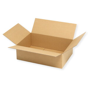 HEIKO 箱 ダンボール A4用-100 スリム 無地 20枚 シモジマコード:002123210