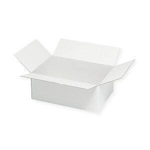 HEIKO  _{[ B5p-110 X n 20 VW}R[h:002123301