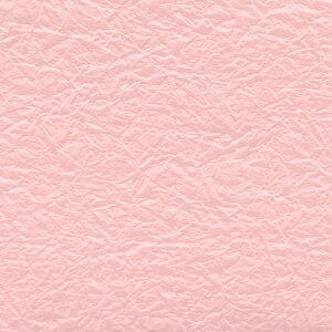 HEIKO a ̎q G{X NO.20  5