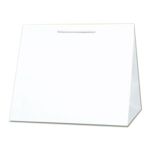 HEIKO  񂰎 T^`[obO W3 Nn 340×}`260×300mm 10 zCg Ɩp bsO VW}R[h003160800