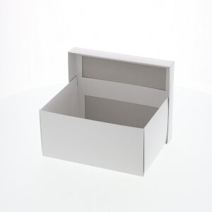 Mtg {bNX 10 n GXv{bNX B-2 gݗĎ VW} HEIKO