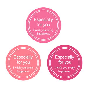 HEIKO Ɩp MtgV[ X^CbVC ی^ sN 300