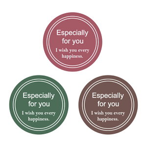 HEIKO Ɩp MtgV[ X^CbVC ی^ i` 300