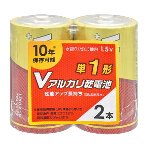 �A���J�����d�r �P1 2�{ V�A���J�����d�r LR20VS2P �I�[���d�@