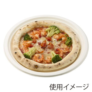 HEIKO ĝ M  oKX [M v[g zCg 26cm 50 1 VW}R[h004466163