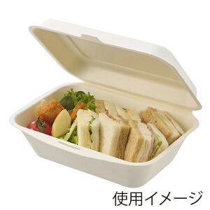 HEIKO ĝ ٓ oKX t[hpbN zCg 600ml 50 1 VW}R[h:004466179