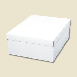 ギフト ボックス 10枚 白無地箱 カバン箱 C 組み立て式 シモジマ HEIKO