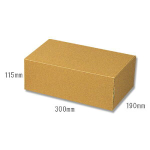 ギフト ボックス 10枚 ナチュラルボックス Z-6 無地 組み立て式 シモジマ HEIKO