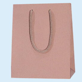 紙袋 手提げ袋 10枚入 アズキサイズ 幅200×マチ120×高250mm (20-12) アクリル紐 シモジマ HEIKO