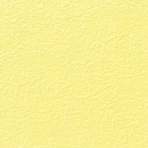 Mtg  5 a ̎q G{X NO.5 EXL VW} HEIKO