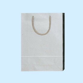 【楽天スーパーセール限定特価】紙袋 手提げ袋 10枚入 銀サイズ 幅225×マチ80×高320mm (SWT) アクリル紐 シモジマ HEIKO