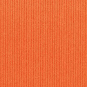 HEIKO Mtg  100  ؖn IW VW}R[hF002418729