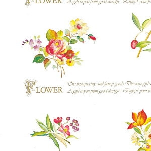 Mtg  50 S VbNXt[ VW} HEIKO