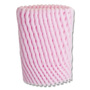 yyVX[p[Z[zɏՍ 100 ʕ lbgLbv W-110 sN