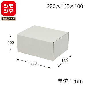 HEIKO  i`O[BOX 220×160×100 10