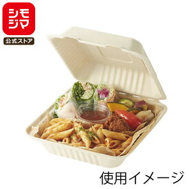 弁当箱 使い捨て 食品容器 20枚入 エコバンブー フードパック BFD-20シモジマ HEIKO