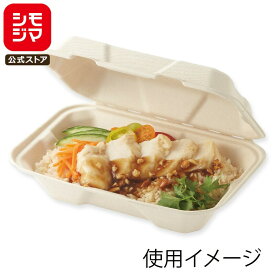 弁当箱 使い捨て 食品容器 20枚入 エコバンブー フードパック BFD-22シモジマ HEIKO