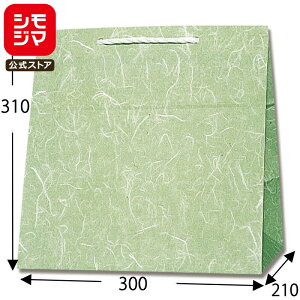 HEIKO  񂰎 T^`[obO W2 _  300×}`210×310mm 50 O[ Ɩp bsO VW}R[h003160601