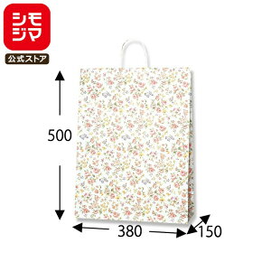 HEIKO ���� ��񂰎��� 25�`���[���o�b�O KA ���}�l�X�N ��380×�}�`150×��500mm 50���� �Ɩ��p ���b�s���O �V���W�}�R�[�h003282600