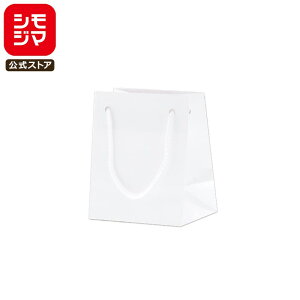 HEIKO  񂰎 uCgobO T-5  100×}`70×120mm 10 zCg Ɩp bsO VW}R[h006143300