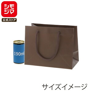 HEIKO  񂰎 uCgobO 23-12 `RuE(MT) 230×}`120×180mm 10 ł Ɩp bsO VW}R[h006138911