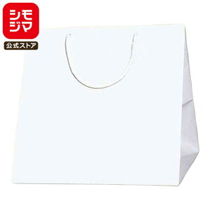 HEIKO  񂰎 uCgobO C0  300×}`280×300mm 10 zCg Ɩp bsO VW}R[h006459400