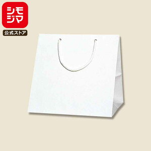 yyVX[p[Z[zHEIKO  񂰎 uCgobO C1  280×}`250×280mm 10 zCg Ɩp bsO VW}R[h006459500