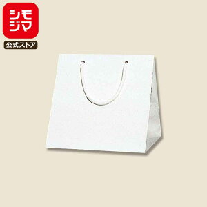 HEIKO  񂰎 uCgobO C2  230×}`200×230mm 10 zCg Ɩp bsO VW}R[h006459600