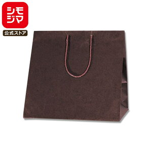 HEIKO  񂰎 J[AWobO L Œ 440×}`295×420mm 10 ł Ɩp bsO VW}R[h006441011