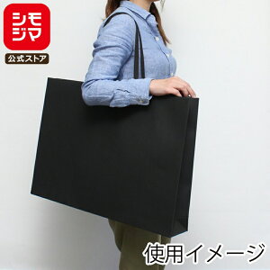 HEIKO  񂰎 t@bVobO LL  600×}`100×420mm 10 ubN Ɩp bsO VW}R[h006489301