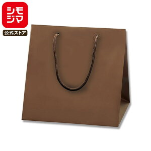 HEIKO  񂰎 uCgobO C2 `RuE(MT) 230×}`200×230mm 10 ł Ɩp bsO VW}R[h006459602