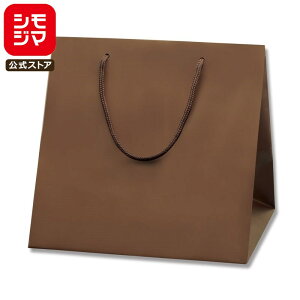 HEIKO  񂰎 uCgobO C1 `RuE(MT) 280×}`250×280mm 10 ł Ɩp bsO VW}R[h006459502