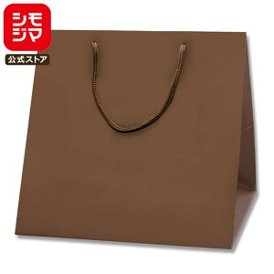 HEIKO  񂰎 uCgobO C0 `RuE(MT) 300×}`280×300mm 10 ł Ɩp bsO VW}R[h006459404