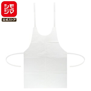 yyVX[p[Z[zVW} SWAN ĝ Gv L 100