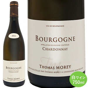 �u���S�[�j�� �V�����h�l 2023 �g�} ���� �����C�� 750ml 1�{ �t�����X �u���S�[�j�� AOC Bourgogne Chardonnay �V�����h�l ���� �O���[�v�t���[�c �����Ԃ̉؂₩�ȃA���} �t�����X���C�� �~�l���� �M