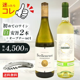 【数量限定】初めての白ワインセット飲み比べ 2本セット 味変 南アフリカワイン イタリアワイン ギフト /シャルドネ ステレンラスト/ シャルドネ オーガニック カーサ ヴィニコラ サルトーリ/ 手土産 お買い求めやすい 無くなり次第終了 カジュアル お得 白ワイン2本セット
