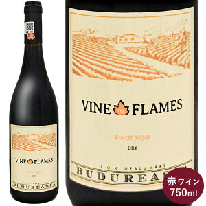 @C C tC smm[ 2021 B uhD AXJ ԃC [}jA ejA 750ml 1{ Vine in Flames Pinot Noir Viile Budureasca 4c [}jAC