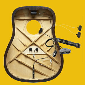 L.R.Baggs HiFi �A�R�M�p�s�b�N�A�b�v�}�C�N