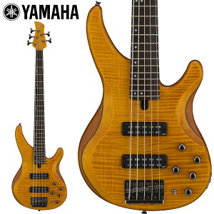 YAMAHA�@TRBX605FM MAM