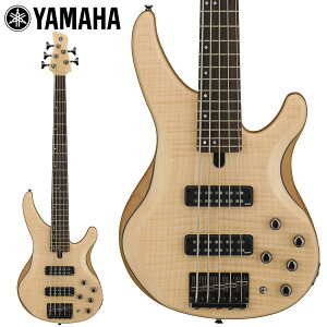 YAMAHA�@TRBX605FM NS