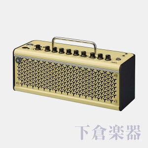 YAMAHA@THR10II Wireless
