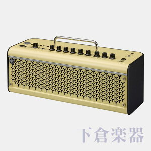 YAMAHA@THR30II Wireless
