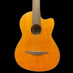 yViz}n NCX1 YAMAHA NCX1FM ׊