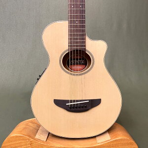 yViz}n YAMAHA APXT2 N ~jGAR