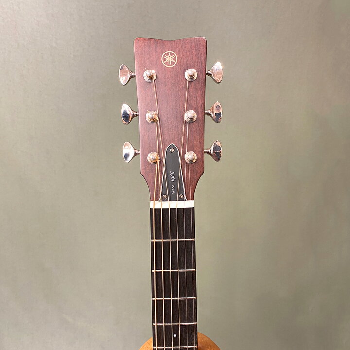 楽天市場】【新品】ヤマハ FG3 レッドラベルシリーズ YAMAHA FG3 全面 