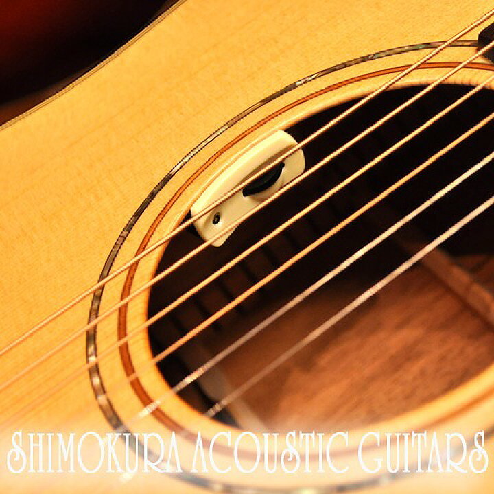 楽天市場】【アコースティックギター用P.U】L.R.Baggs ANTHEM SL 