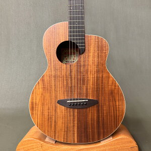 【新品】aNueNue Bird M3 / アヌエヌエ バードM3 / ギグケース付き