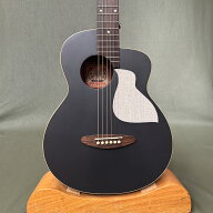 【新品】aNueNue Bird MC10 / アヌエヌエ バードMC10 BB / ギグケース付き